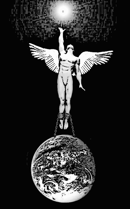 The Founder's Blog. The Founder's Blog.